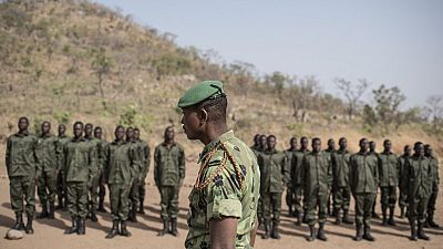 Bénin : au moins 9 morts dans 3 attaques à la bombe au parc W