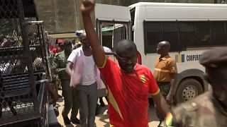 Guinea court frees activists critical of junta 