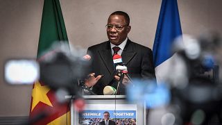 Cameroon's opposition leader Kamto re-elected at the helm of MRC