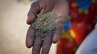 South Sudan: UN warns of imminent famine