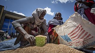 US Aid freeze sparks warnings from Ethiopian rights leaders